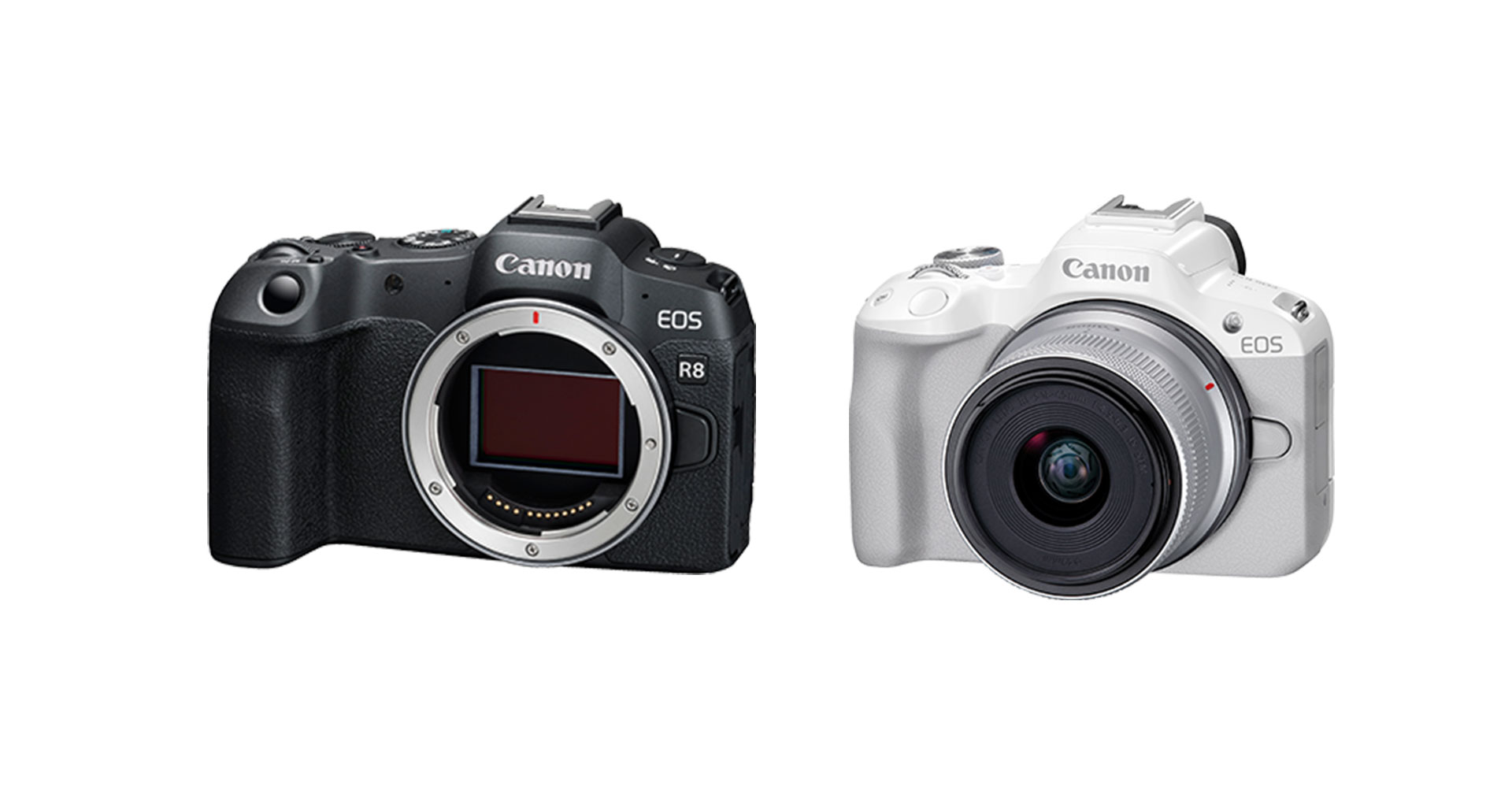 เปิดตัว Canon EOS R8 และ EOS R50 คู่หูกล้อง Full frame, APS-C ระดับเริ่มต้น สเปกจัดหนัก
