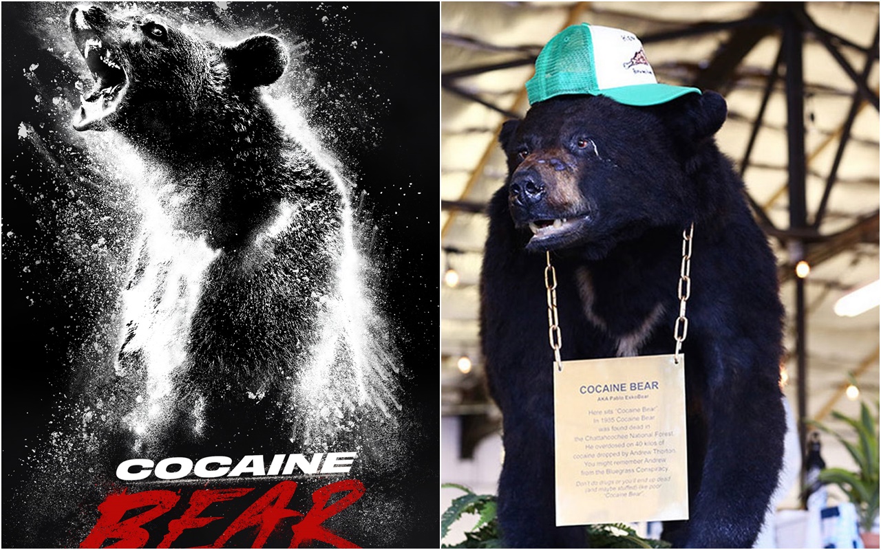 ส่องเรื่องจริงของ Pablo Eskobear เจ้าหมีเสพโคเคน ก่อนไปชม ‘Cocaine Bear’