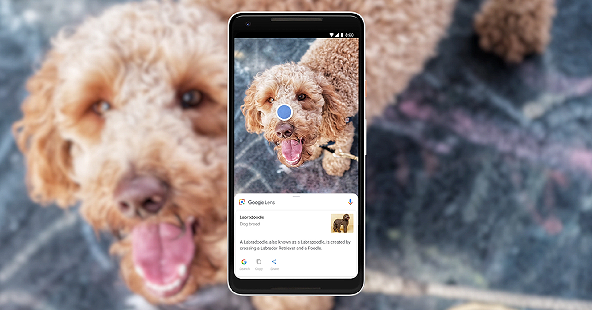 Google เผยอัปเดต Google Lens ครั้งใหญ่ ช่วยให้ค้นหาทุกอย่างบนหน้าจอสมาร์ตโฟน Android ได้รวดเร็ว