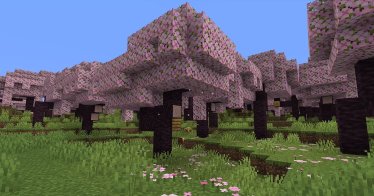 Minecraft เตรียมอัปเดตเพิ่ม Cherry Blossom สร้างต้นซากุระในเกมได้
