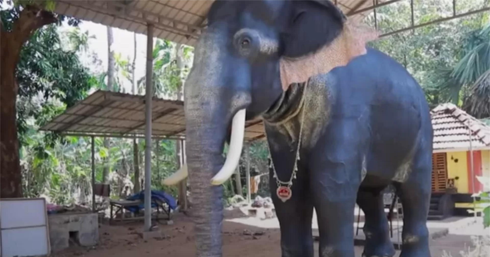 ไอเดียดี! อินเดียใช้ ‘หุ่นยนต์ช้าง’ ประกอบพิธีกรรมแทนช้างจริง ๆ เพื่อลดการทารุณสัตว์