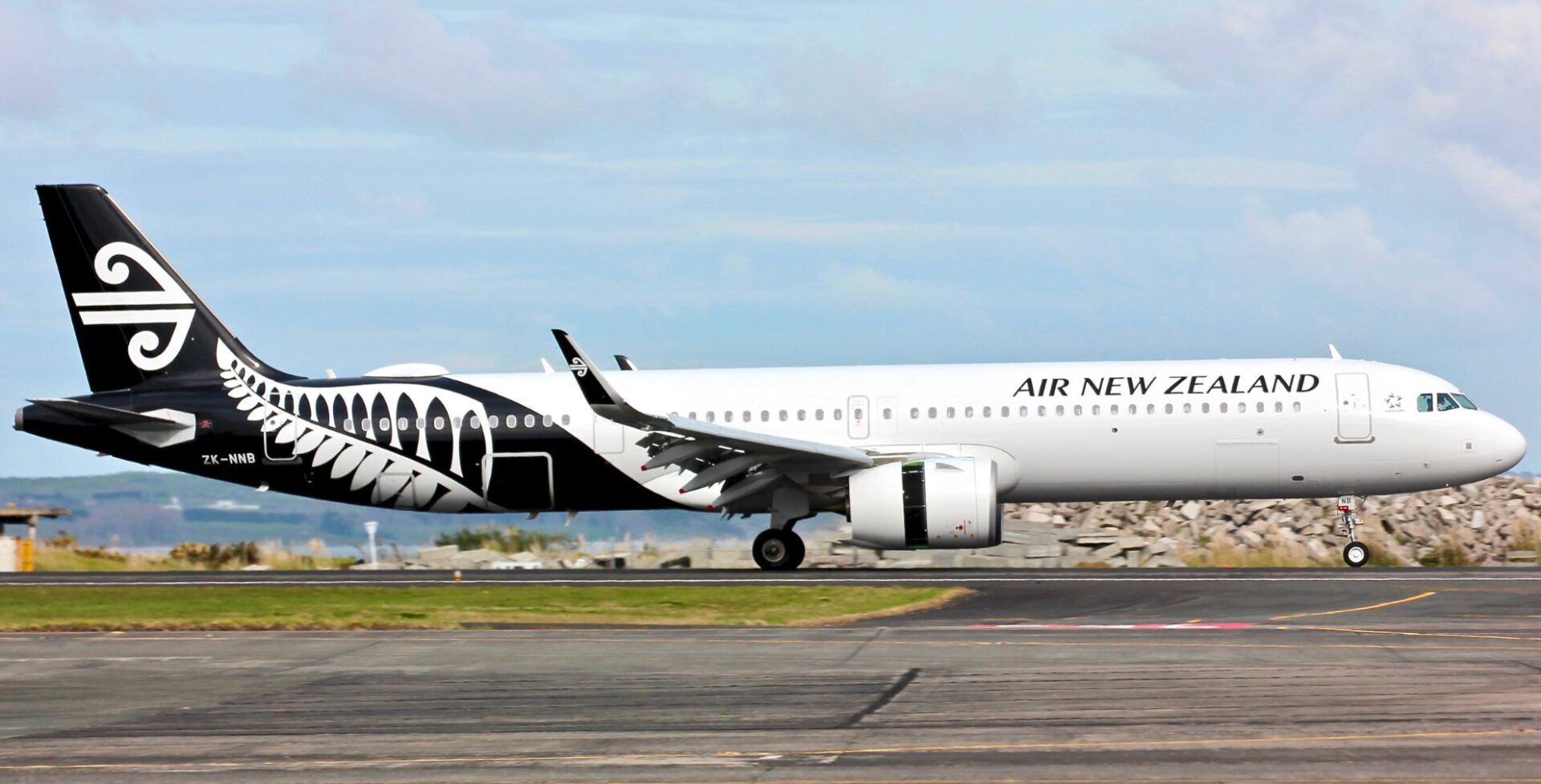 Air New Zealand ไฟลต์ดีเลย์ เพราะน้องเม่นเดินตุ้ยนุ้ยกลางรันเวย์