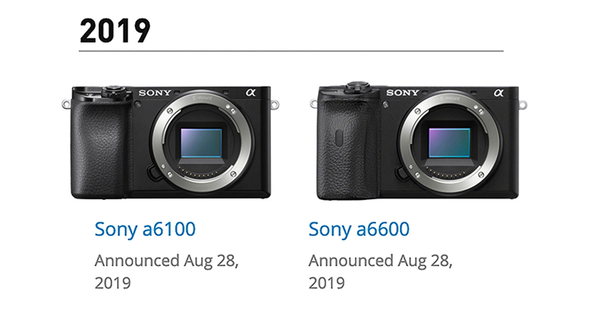ลือ! Sony เตรียมเปิดตัวกล้อง APS-C E-mount ระดับ High End ในปีนี้