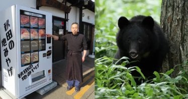 มาอีกแล้ว ญี่ปุ่นออก ‘ตู้ขายเนื้อหมี’ ชูของดีจังหวัดอากิตะ