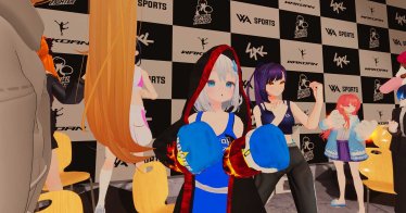 VRChat Boxing Tournament