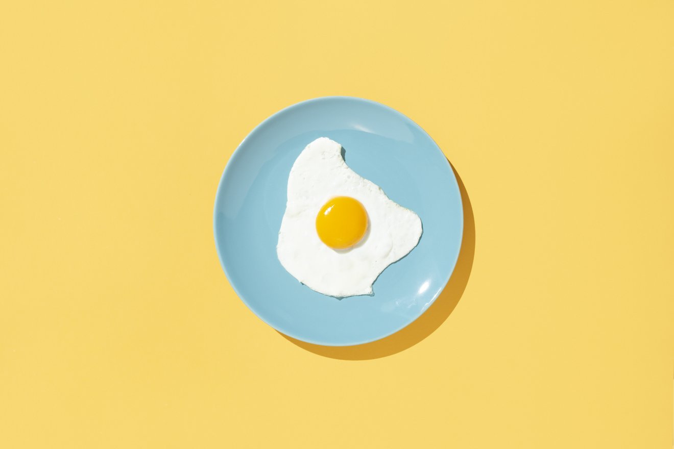 plate with fried egg on yellow background