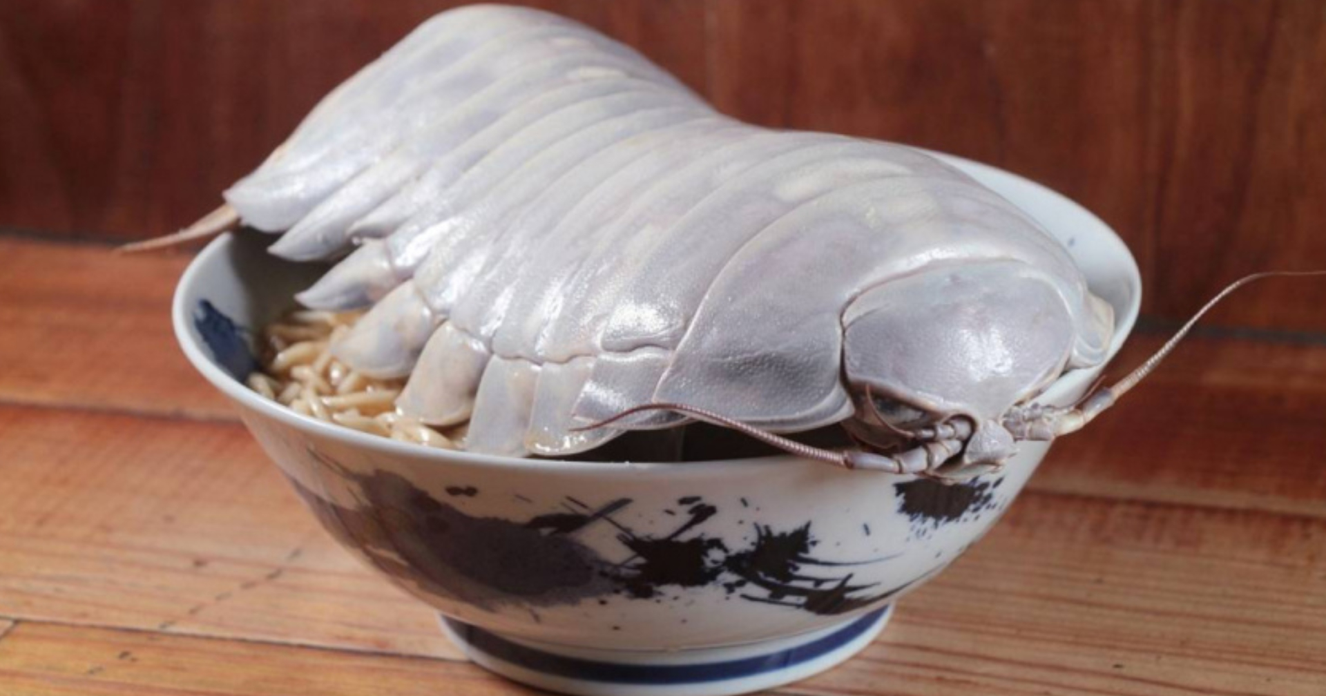 ร้านราเมงไต้หวัน ชวนชิมเมนูใหม่ทำจากซุปไก่ท็อปด้วย “ไอโซพอดยักษ์” สัตว์ทะเลน้ำลึกหายาก