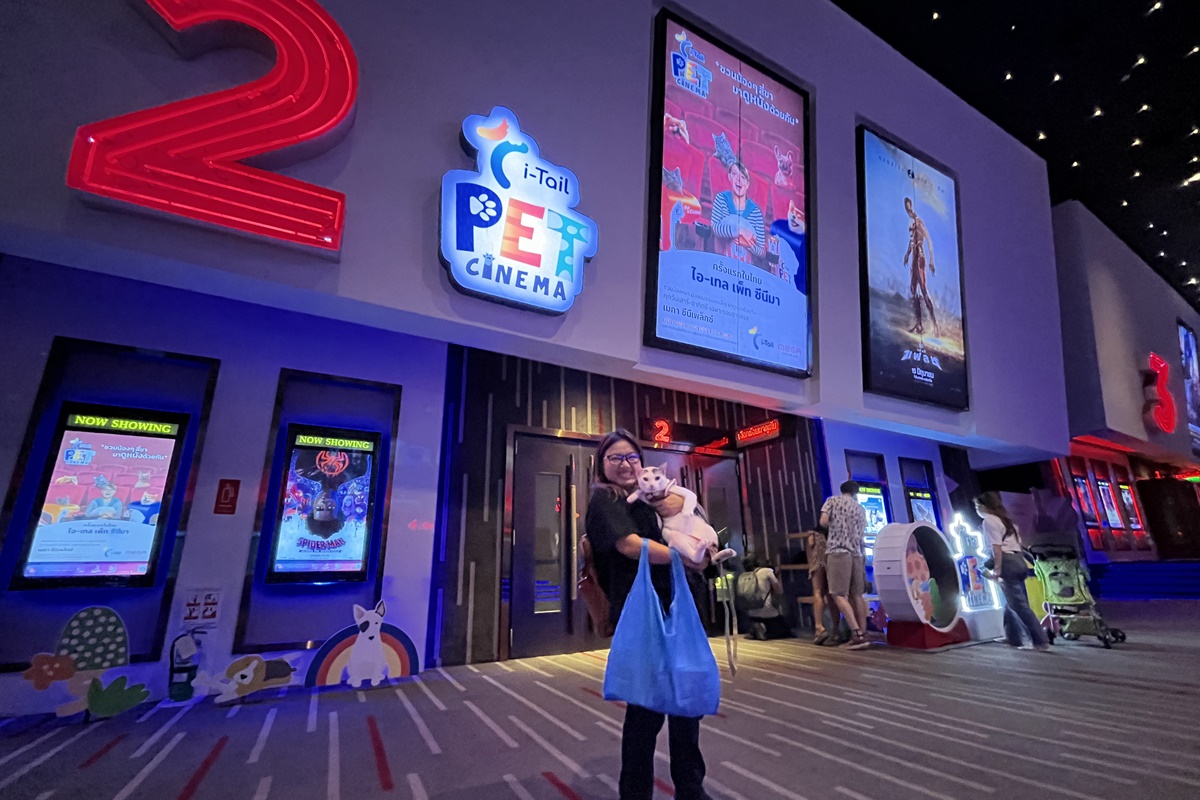 Beartai Buzz พาน้องเหมียวเข้าโรง I-Tail Pet Cinema