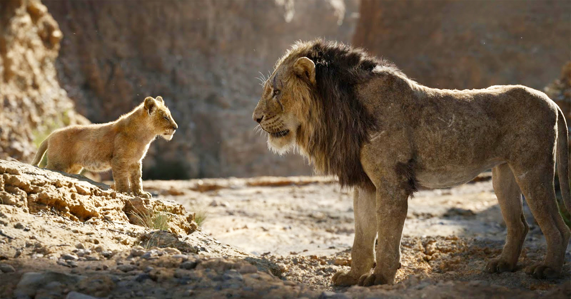 ประธาน Disney ต้องการให้ ‘The Lion King’ กลายเป็นแฟรนไชส์มหากาพย์เหมือน ‘Star Wars’