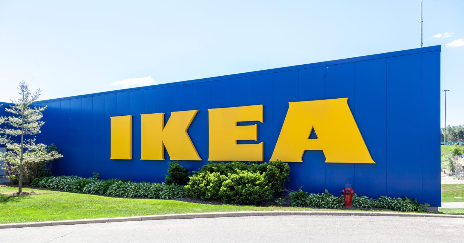 ถึงเวลาพาเจ้านายไปช้อป! IKEA อนุญาตให้สัตว์เลี้ยงเข้าร้านได้ เริ่ม 6 มิ.ย. 66