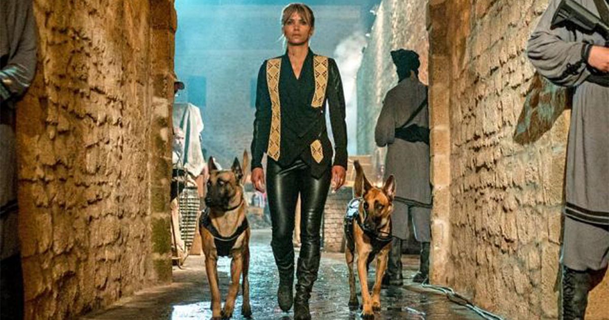 ผู้กำกับ John Wick สนใจจะทำหนังภาคแยกของ โซเฟีย ตัวละครของ Halle Berry จาก John Wick 3