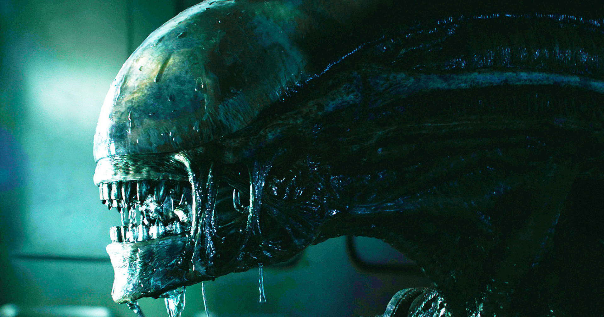 สิ้นสุดการรอคอยมา 7 ปี: ‘Alien: Romulus’ ของ Fede Álvarez ปิดกล้องแล้ว