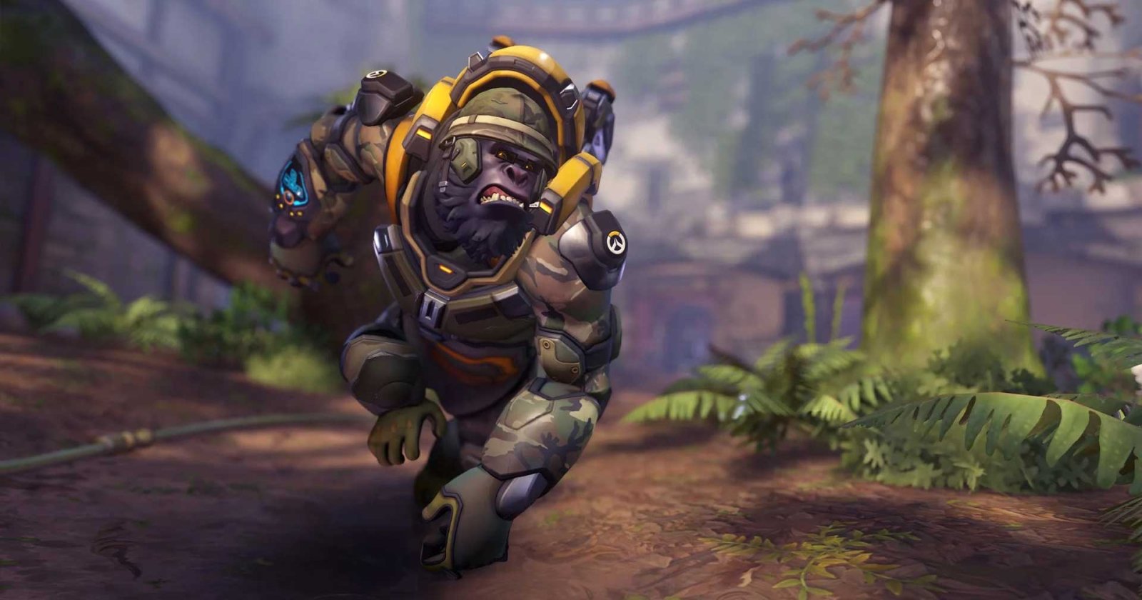 Overwatch 2 Declined