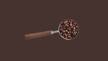 กาแฟ 101: ว่าด้วยเรื่องสายพันธุ์กาแฟ ที่มา และคาแรกเตอร์ของรสชาติ