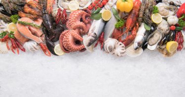 More than 700 Japanese exporters hit by China's seafood ban -Teikoku Databank