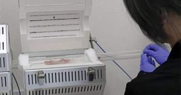 researcher checking the concentration level of tritium in a fish taken from waters off Fukushima