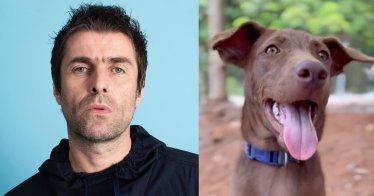 Liam Gallagher รับอุปการะสุนัขจรจัดจากไทย ไปดูแลด้วยตัวเอง