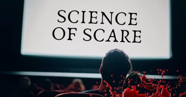 นักวิทย์ใช้กระบวนการทางวิทยาศาสตร์วัดผลว่า ‘หนังสยองขวัญเรื่องไหนน่ากลัวที่สุด’ และ ‘ฉากไหนน่ากลัวที่สุด’