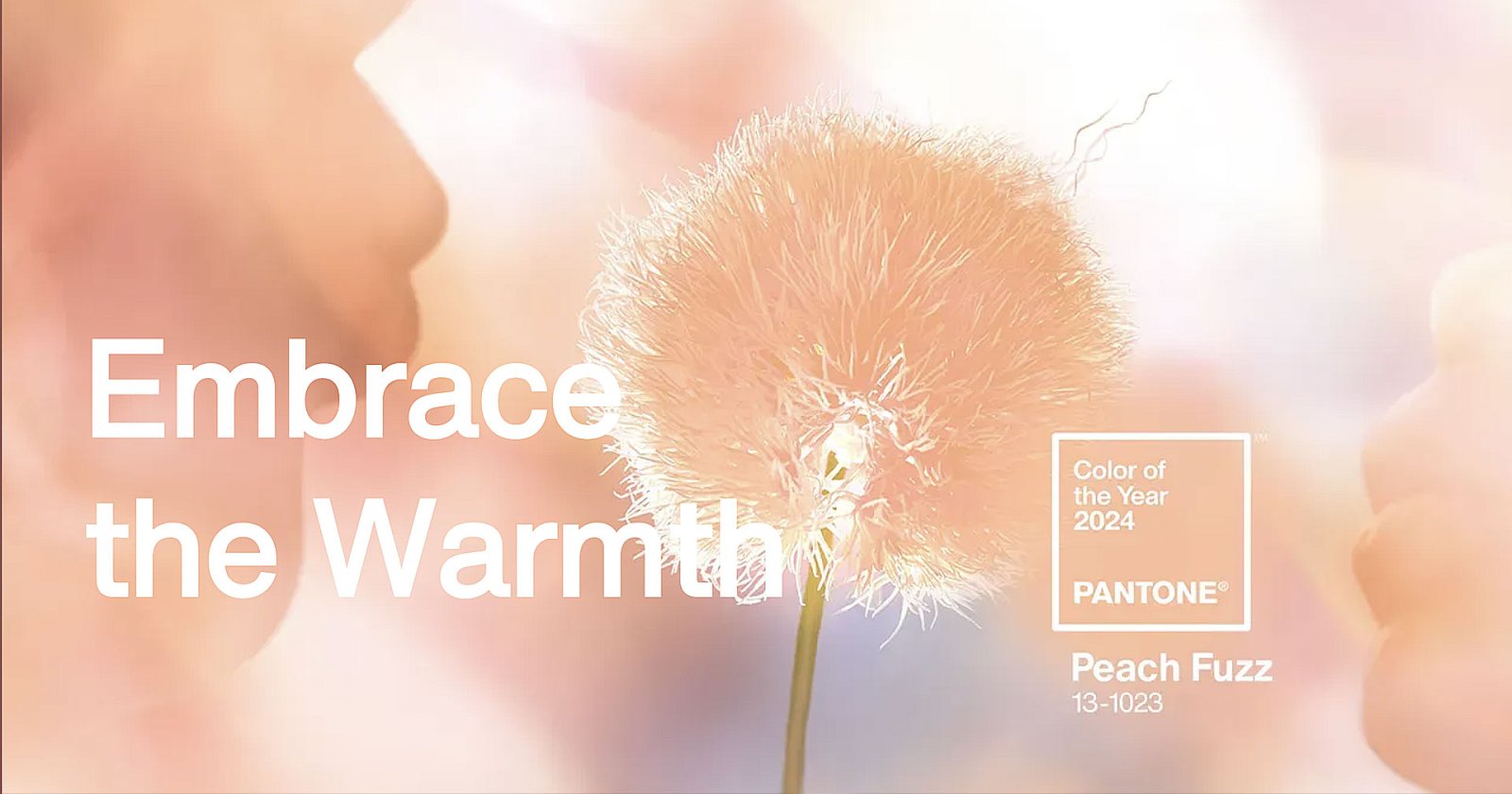 PANTONE เปิดตัว ‘Peach Fuzz’ สีประจำปี 2024 สะท้อนถึงความอ่อนโยน อบอุ่นหัวใจ