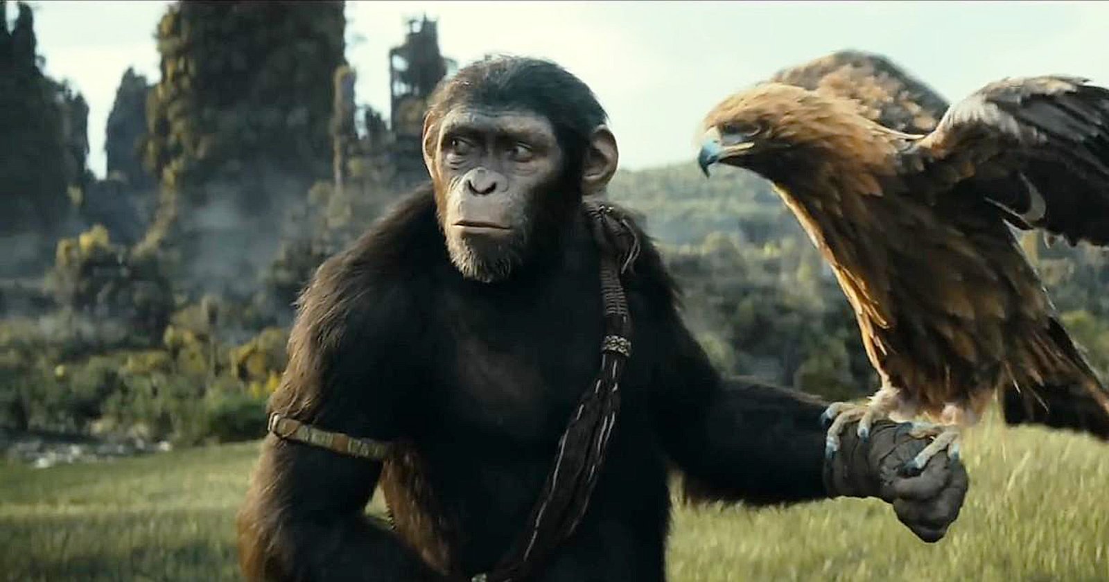 ผู้กำกับต้องการให้ ‘Kingdom of the Planet of the Apes’ เป็นจุดเริ่มต้นไตรภาคใหม่ของพิภพวานร