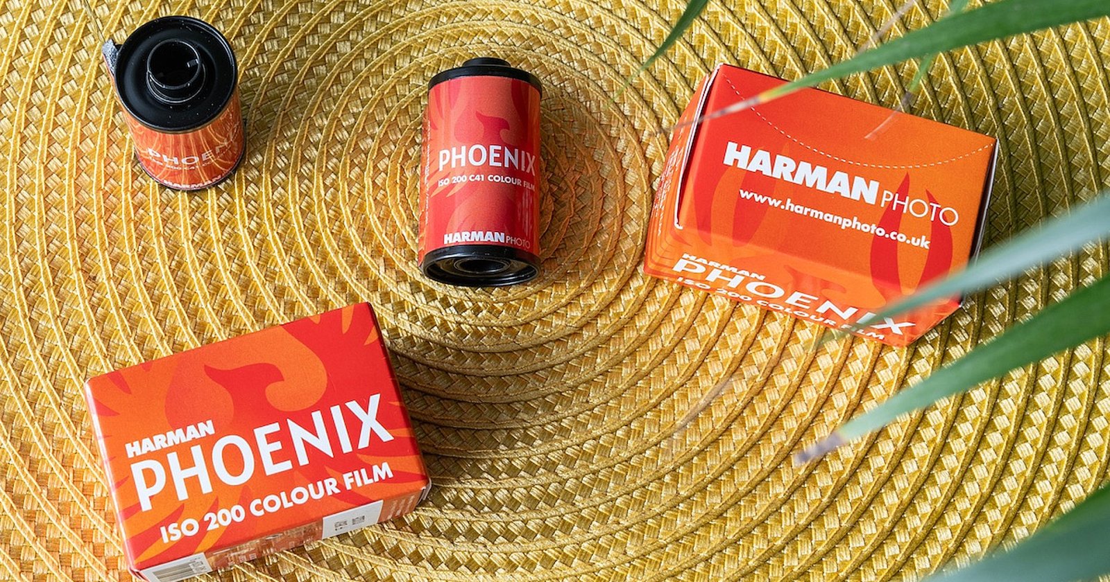 Harman Phoenix 200 ฟิล์มสีฟอร์แมต 135 ตัวใหม่ ที่ให้สีสันและคอนทราสต์จัดจ้าน