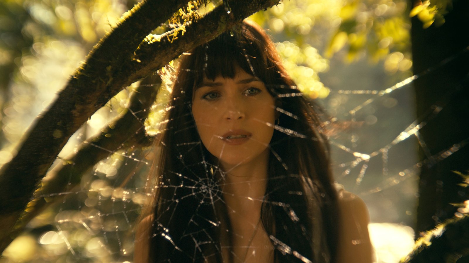 Dakota Johnson เล่าประสบการณ์ถ่ายทำฉากแอ็กชันกับ Blue Screen ครั้งแรกใน ‘Madame Web’