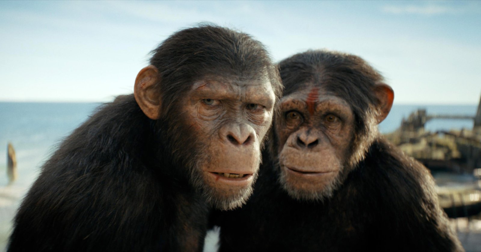ตัวอย่างใหม่ ‘Kingdom of the Planet of The Apes’: สู่พิภพวานรโดยสมบูรณ์ ที่มนุษย์เป็นเพียงทาส