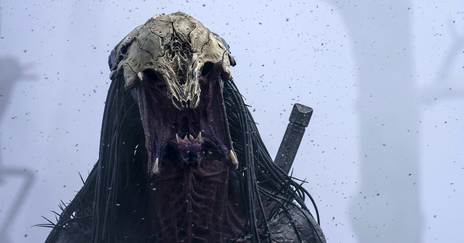 หนัง ‘Predator’ ใหม่ 2 เรื่อง กำลังได้รับการพัฒนา: จะนำ Yautja ไปโลกอนาคตด้วย