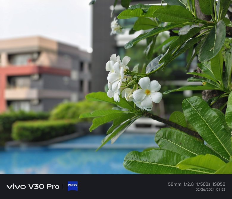 รีวิว vivo V30 Pro 5G : กล้องว่าเทพแล้ว ยังพาเทพ ZEISS ตามมาด้วย