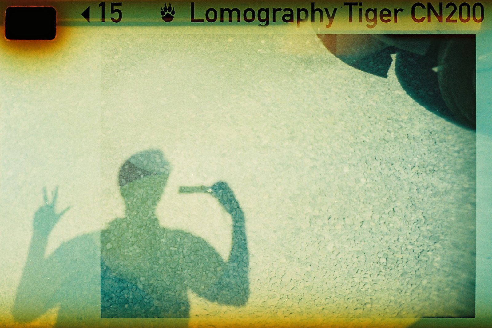 Lomography