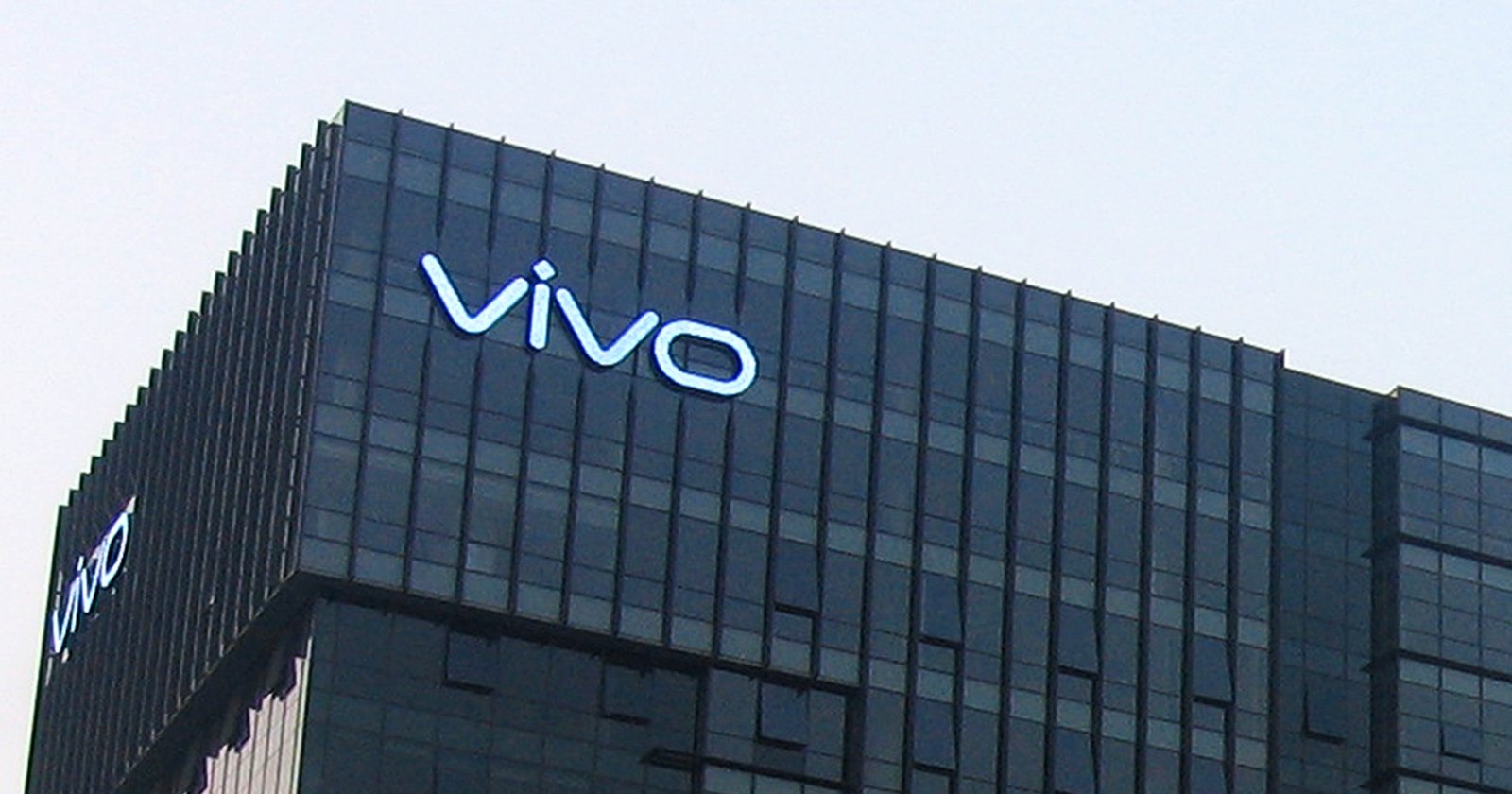 Vivo