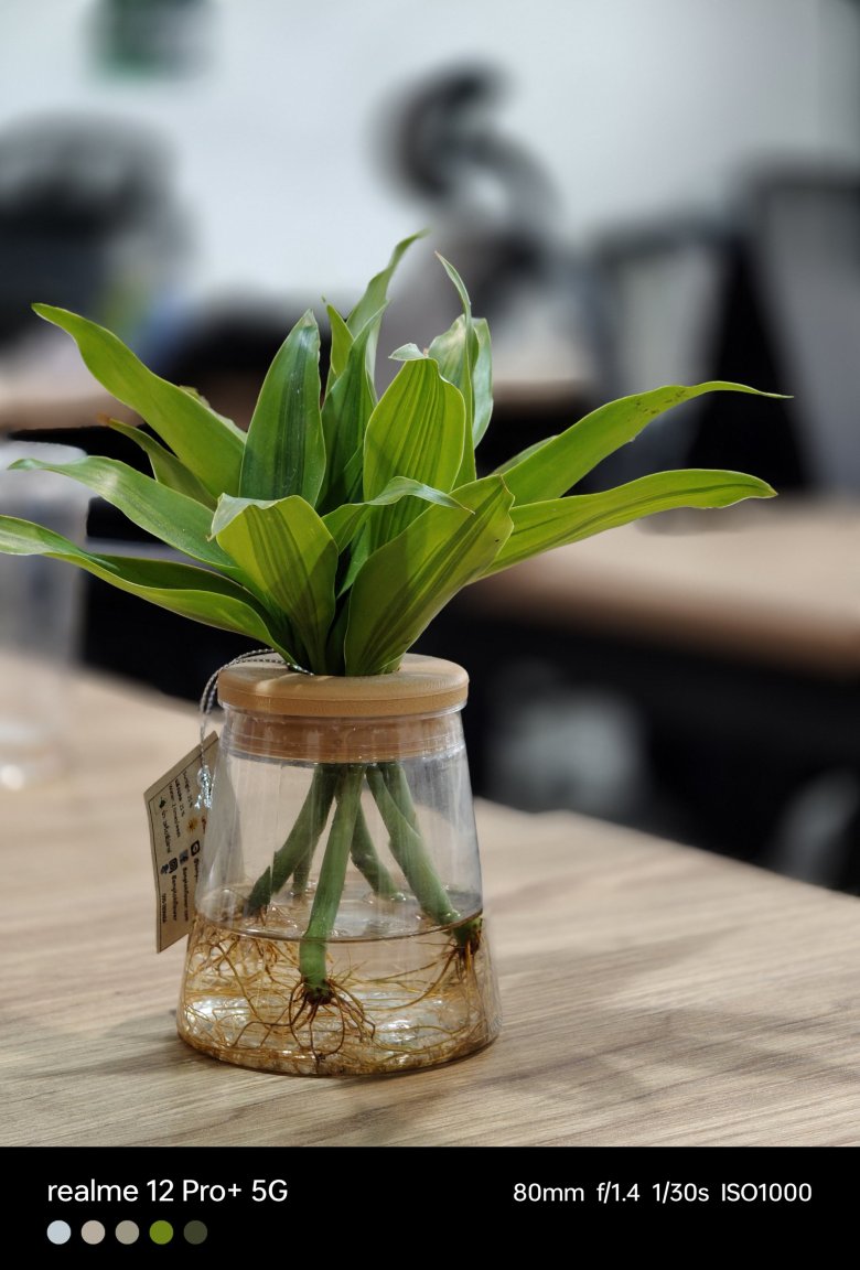 รีวิว realme 12 Pro+ 5G : หมื่นกลางแบบใด ทำไมมี Periscope ด้วย !