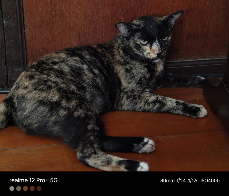 รีวิว realme 12 Pro+ 5G : หมื่นกลางแบบใด ทำไมมี Periscope ด้วย !