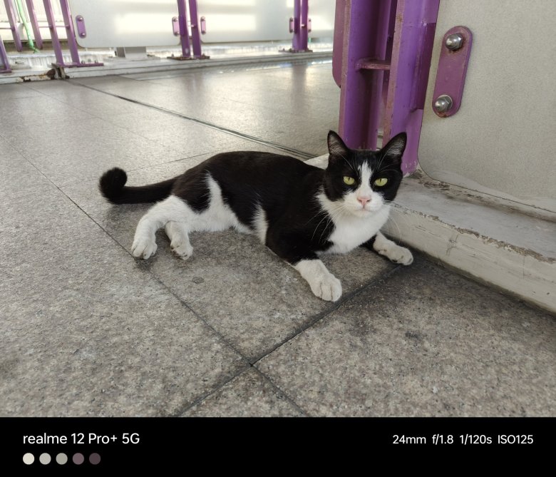 รีวิว realme 12 Pro+ 5G : หมื่นกลางแบบใด ทำไมมี Periscope ด้วย !