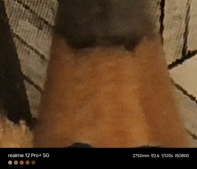 รีวิว realme 12 Pro+ 5G : หมื่นกลางแบบใด ทำไมมี Periscope ด้วย !