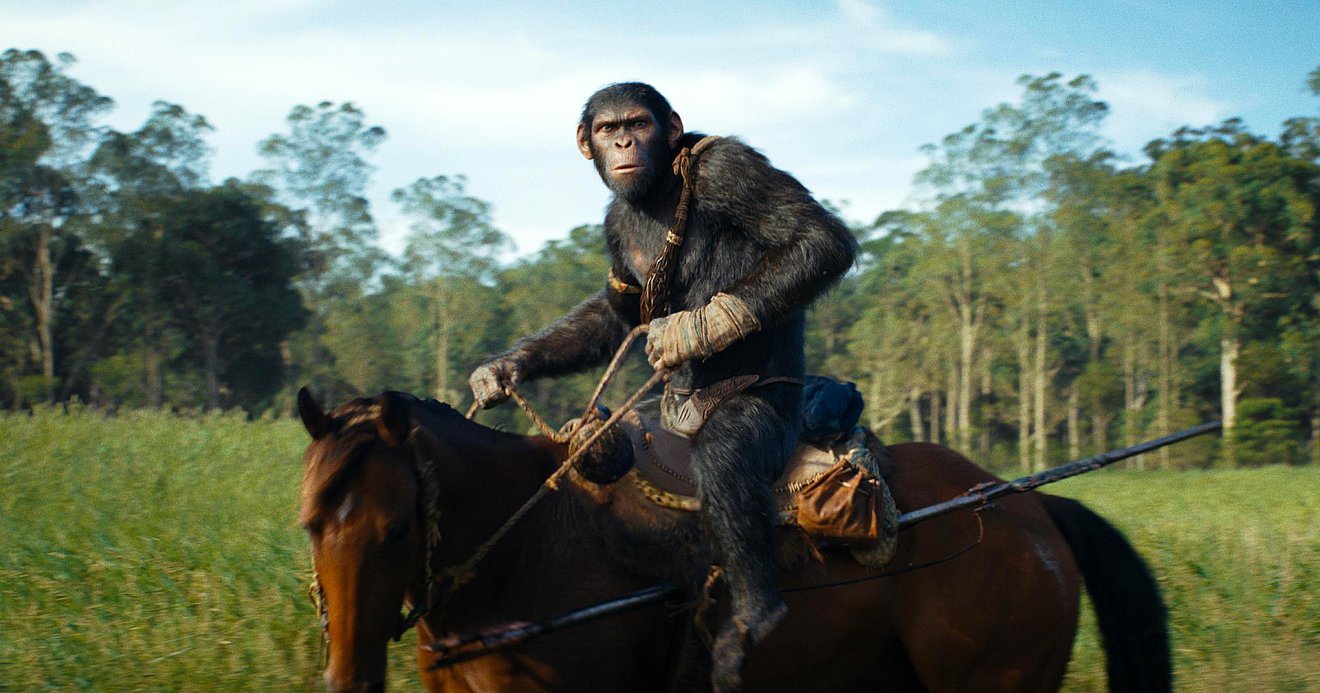 Kingdom of the planet of the apes