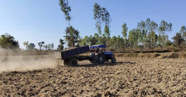 Mati Carbon ชนะ Xprize Carbon Removal ด้วยวิธีดูดซับ CO2 แบบบ้าน ๆ แต่ได้ผลยั่งยืน