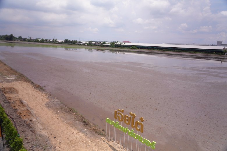 เจียไต๋เปิด ‘Chia Tai Experience’ ศูนย์เกษตรครบวงจรแห่งแรกที่บางน้ำเปรี้ยว ยกระดับชาวนาไทยสู่ยุค Smart Farming