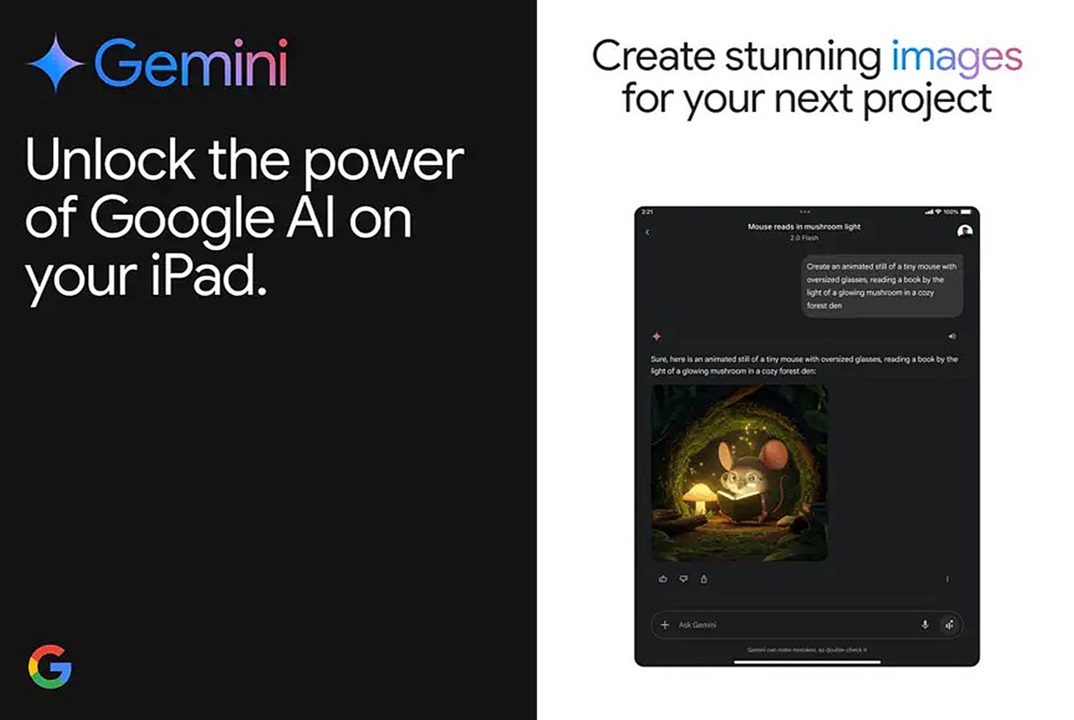 Gemini for iPad
