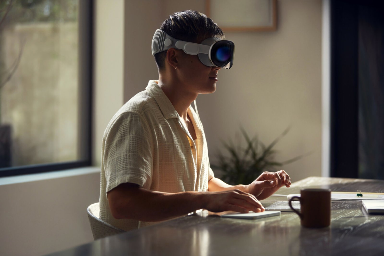 Apple Vision