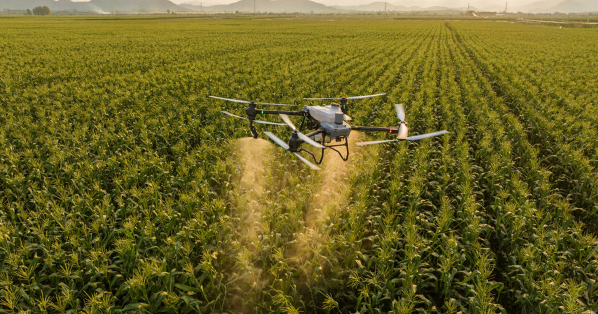 ยุคใหม่ของการเกษตร ฟาร์มอังกฤษทุ่ม 3.7 ล้านบาท ซื้อโดรน DJI ปลูกผัก ลดต้นทุน ช่วยพนักงาน