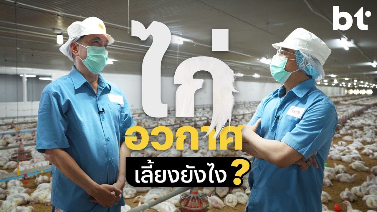 BT บุกพิสูจน์! ไก่ CPF ปลอดภัยจริงไหม ?