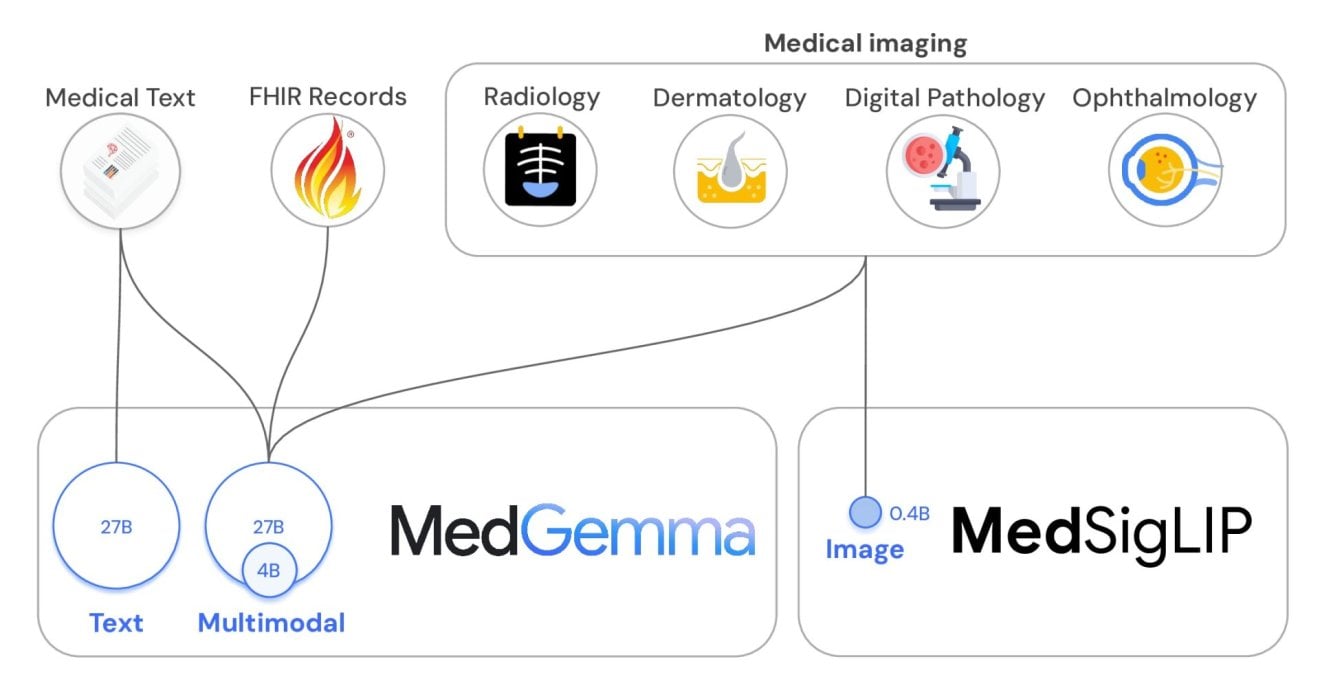 Google DeepMind เปิดตัว MedGemma ผู้ช่วยใหม่สำหรับวงการแพทย์