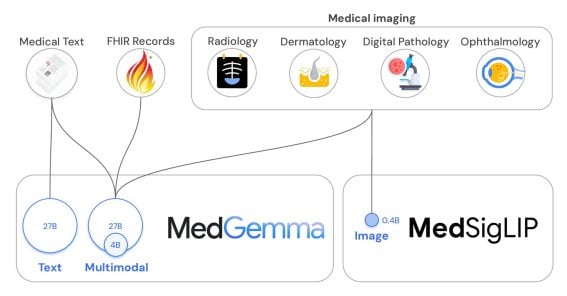 Google DeepMind เปิดตัว MedGemma ผู้ช่วยใหม่สำหรับวงการแพทย์