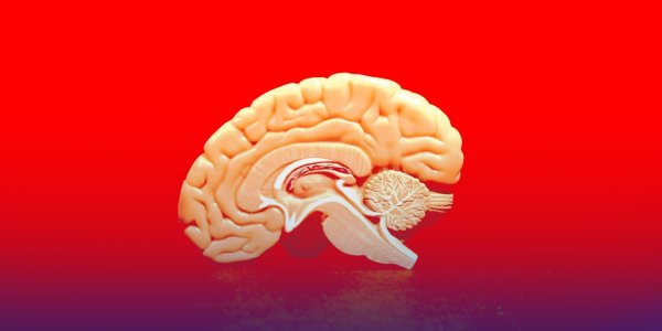 ทำไม ‘สมองเสื่อม’ ? | โรคทางระบบประสาทที่ทำลายมากกว่าความทรงจำ