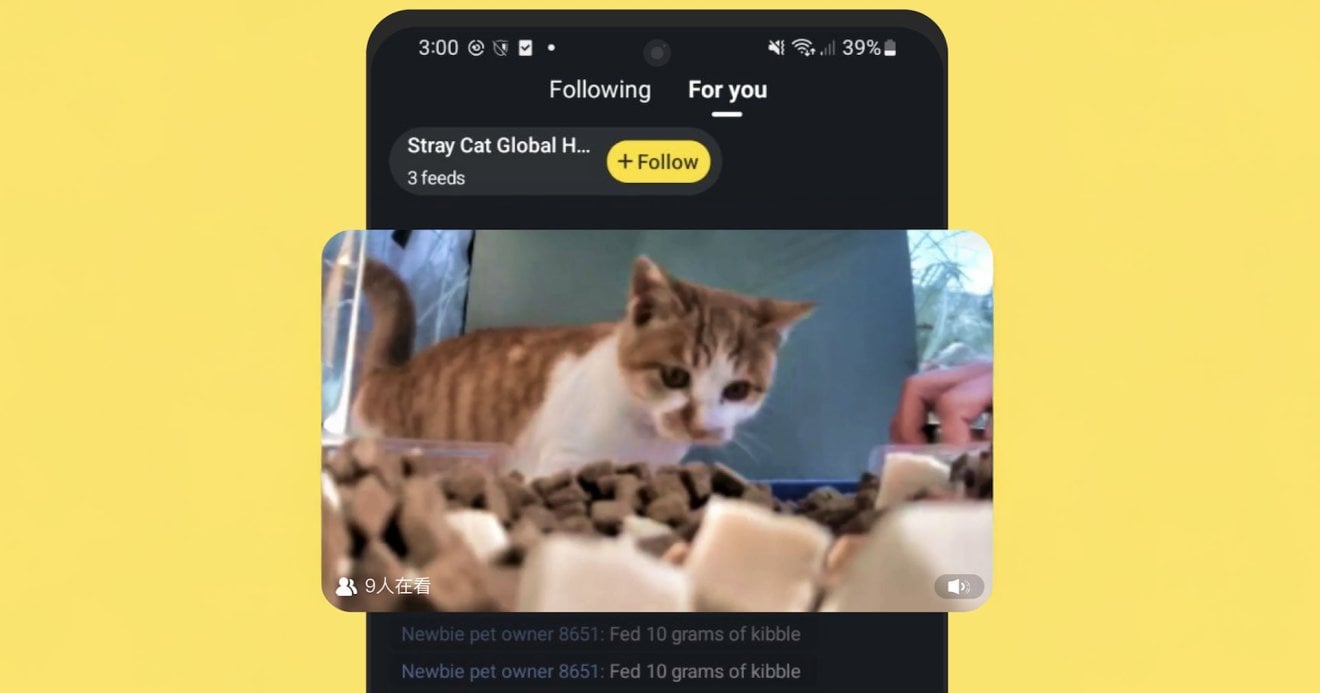 วิธีสมัคร Purrrr แอปฯ ให้อาหารน้องแมวจรออนไลน์ ทำได้ทั้ง iOS และ Android