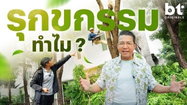 รุกขกรรม….ศาสตร์แห่งการดูแลต้นไม้ด้วยหัวใจ