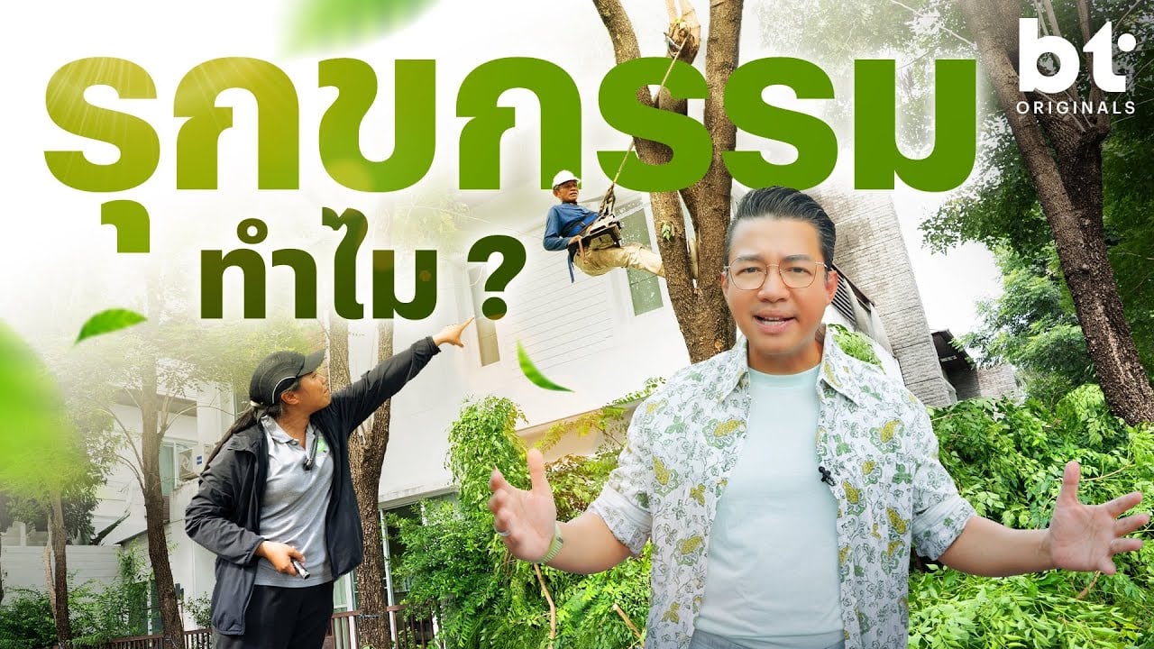 รุกขกรรม….ศาสตร์แห่งการดูแลต้นไม้ด้วยหัวใจ