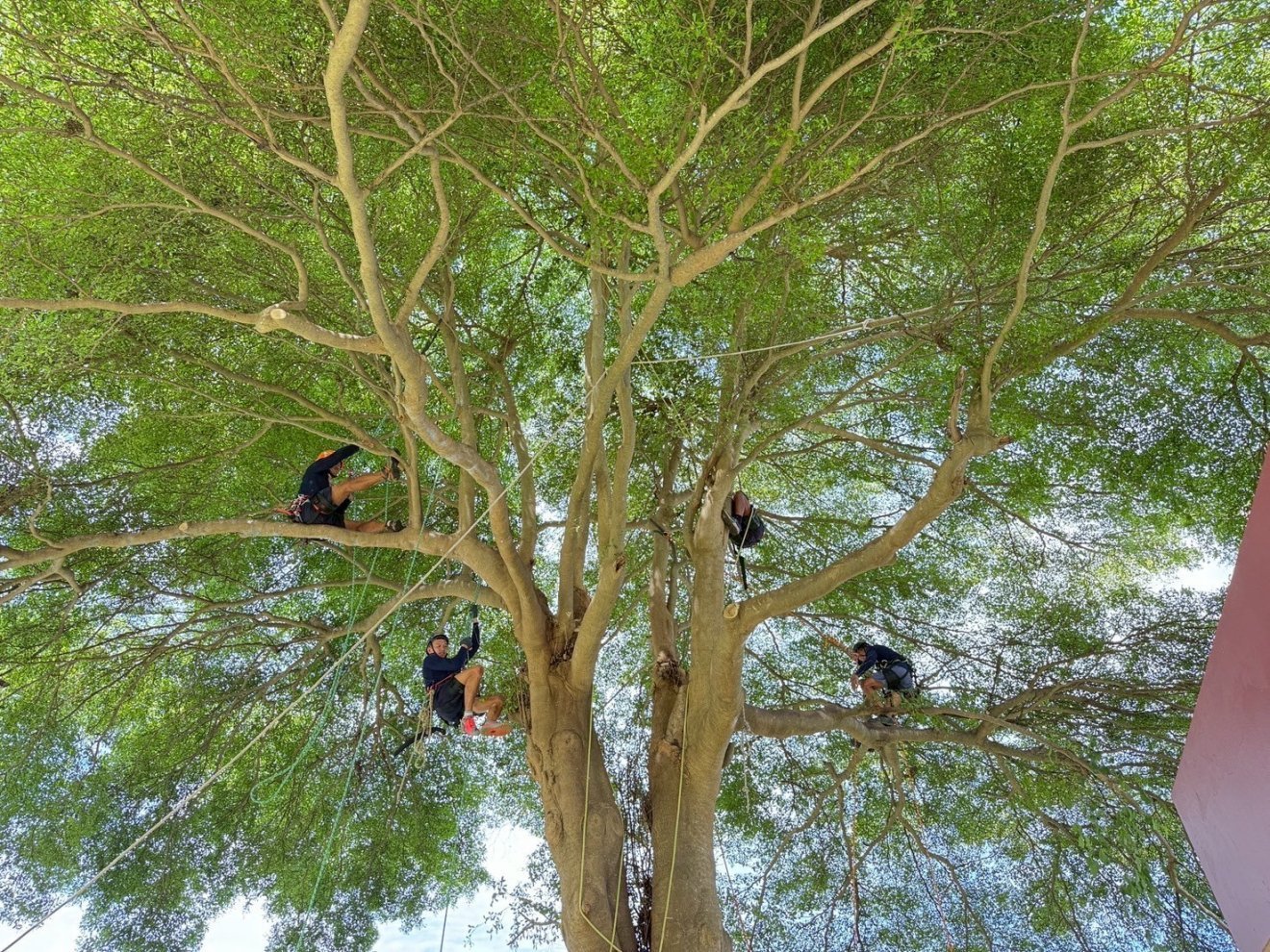 ร่วมสร้างโอกาสให้ผู้ก้าวพลาด ในงานระดมทุน “โครงการรุกขกร Restart New Day New Tree”
