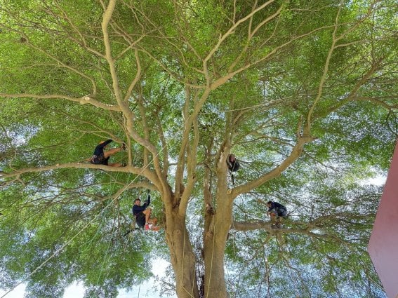 ร่วมสร้างโอกาสให้ผู้ก้าวพลาด ในงานระดมทุน “โครงการรุกขกร Restart New Day New Tree”